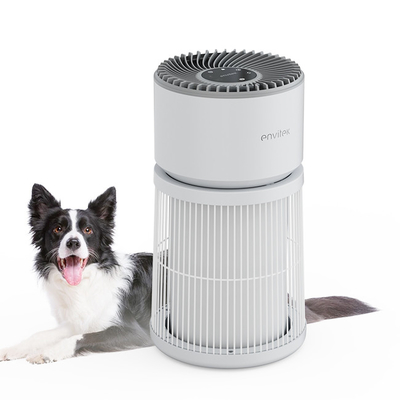 3 In 1 Formaldehyde True HEPA Air Purifier Cleaner With Filter Replacement Reminder